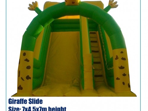 Giraffe Slide