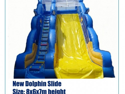 New Dolphin