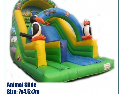 Animal Slide