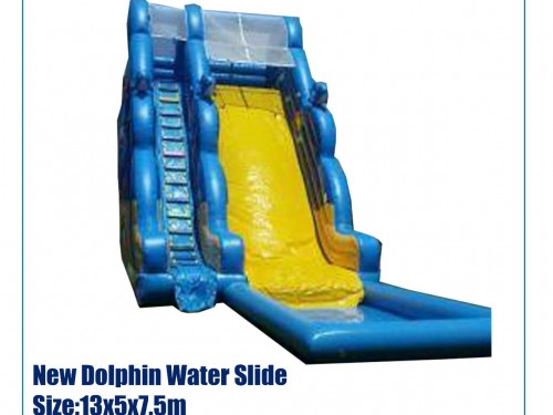 New Dolphin Water Slide