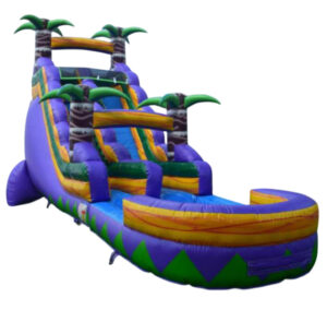 4 Palm SLiding Fun Water Slide