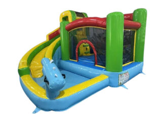 Blue Gun Slide and Pool