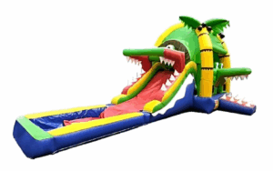 Crocodile Home Water Slide & Pool