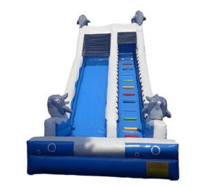 Dolphin Inflatble Slide