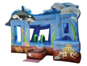 Dolphin Under The Sea