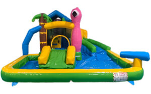 Flamingo Oasis Mini Water Combo