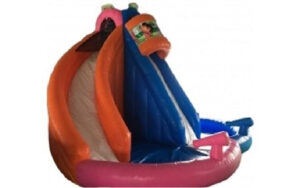 Happy Dora Water Slide