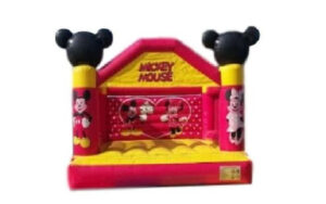 Mickey Mouse Bouncy