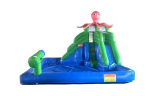 Octopus on top Water Slide