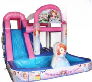 Princess Combo Water Slide