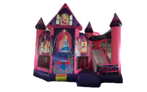 Purple Pink Princess Bouncy