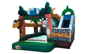 Safari and Slide Bouncy