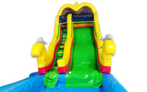 Yellow Green Dolphin1